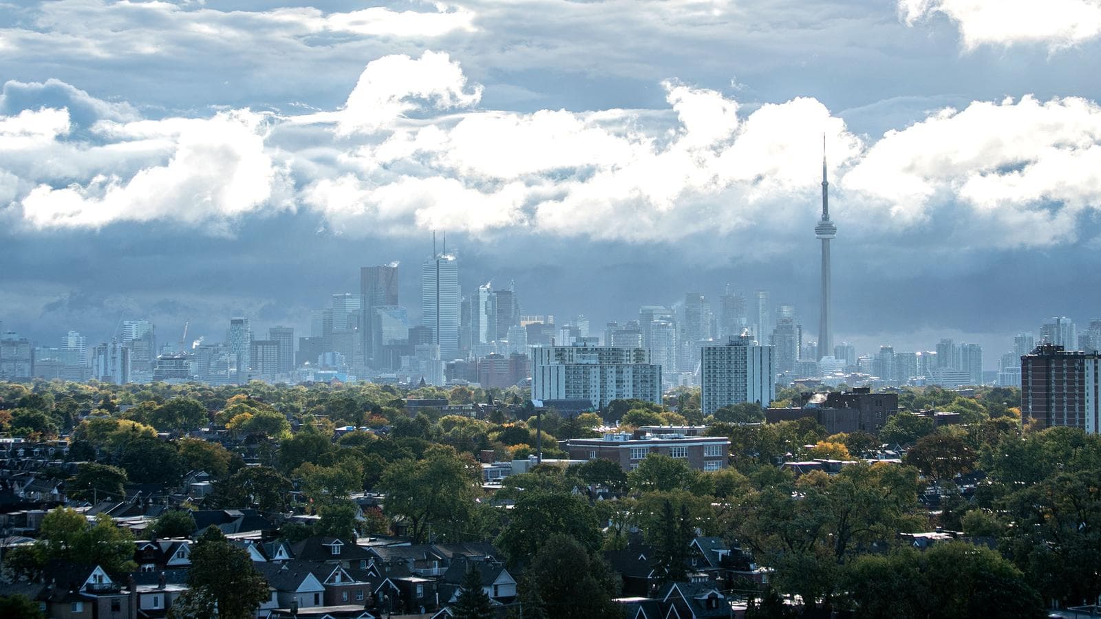 Banner image of One Day in Toronto: Street Art & Local Eats
