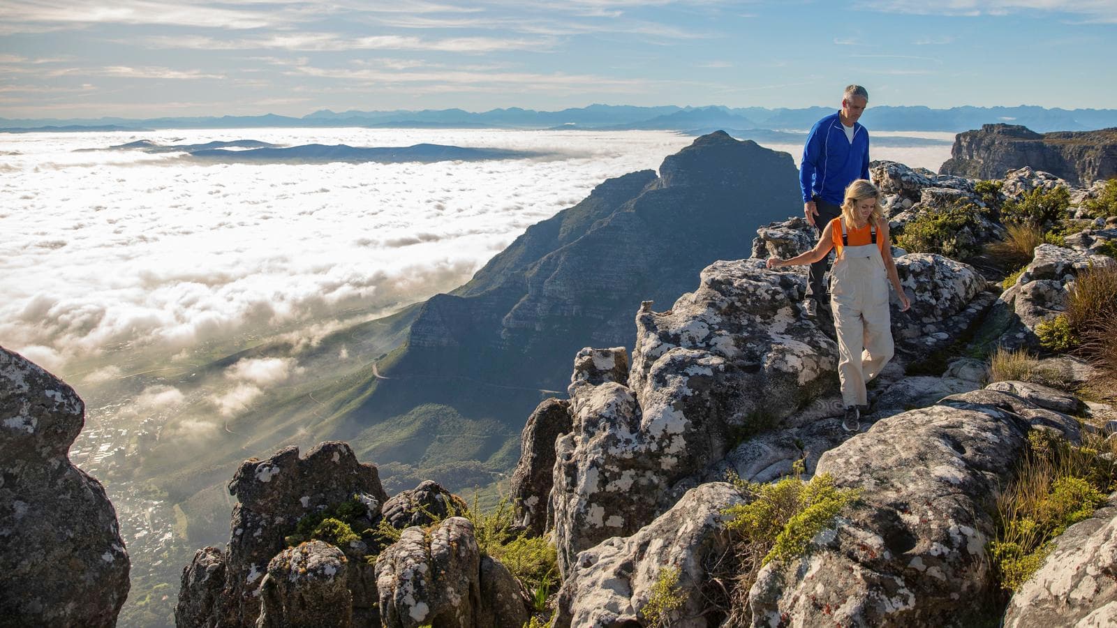 Banner image of South Africa: Kruger Wildlife Tracking & Vineyards