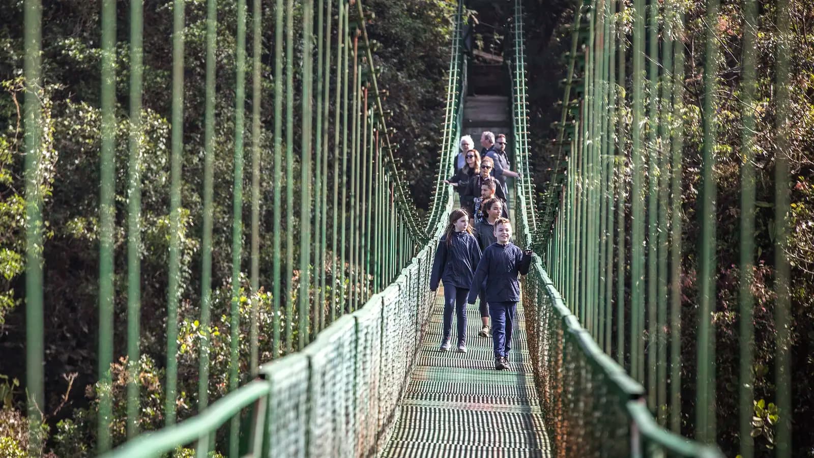 Banner image of Costa Rica Family Journey: From Cloud Forests to the Beach