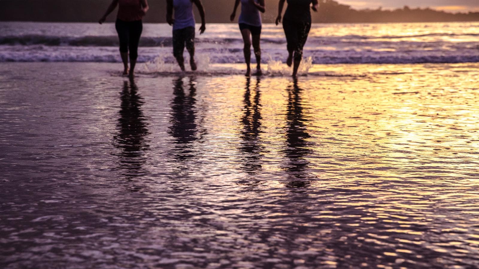 Banner image of Costa Rica: Beaches, Wildlife & Wild Times