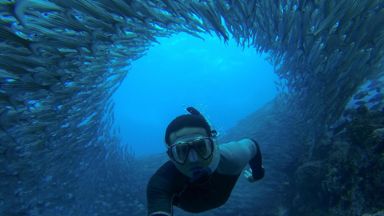 Banner image of Galápagos Land & Sea — Central & East Islands aboard the Monserrat