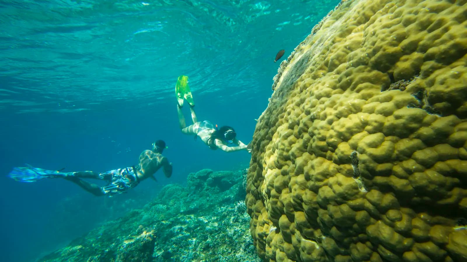 Banner image of Lombok to Flores: The Hidden Path