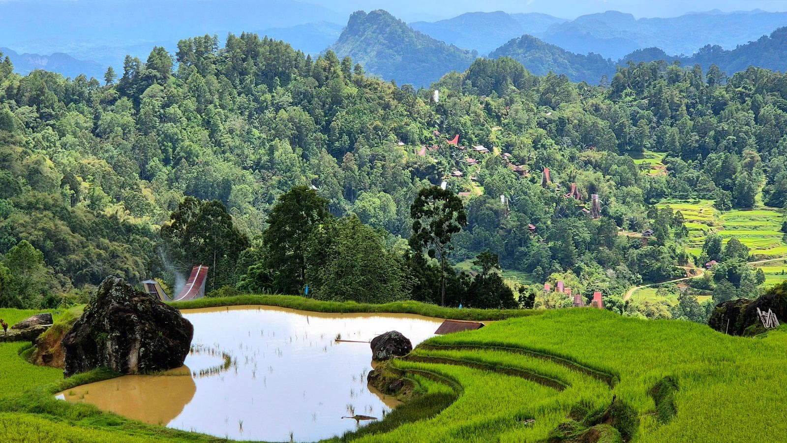 Banner image of Sulawesi Adventure: The Culture of Tana Toraja