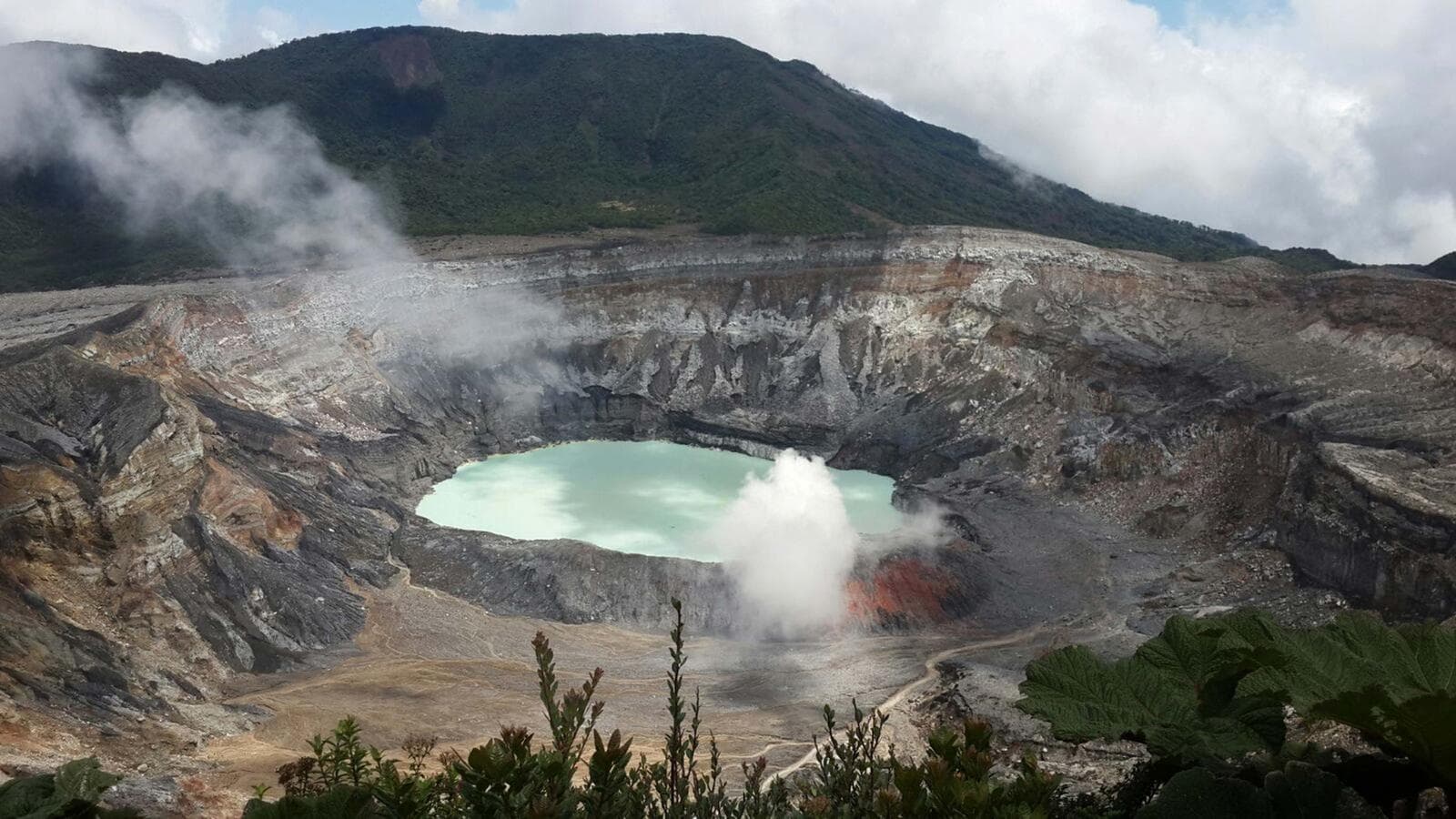 Banner image of San Jose Day Tour: Poas Volcano (full day)