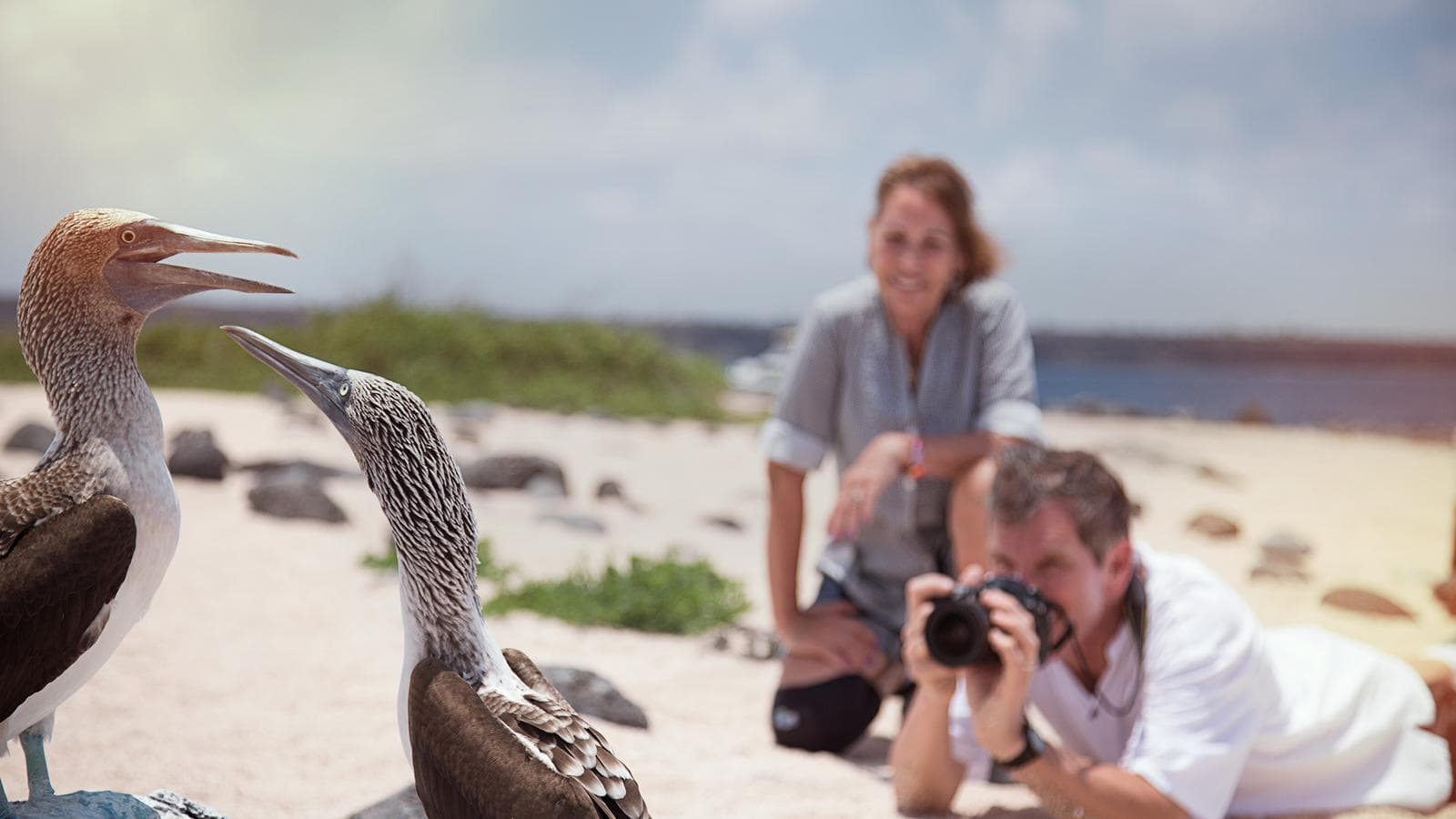 Banner image of Galápagos — South Islands aboard the Xavier III
