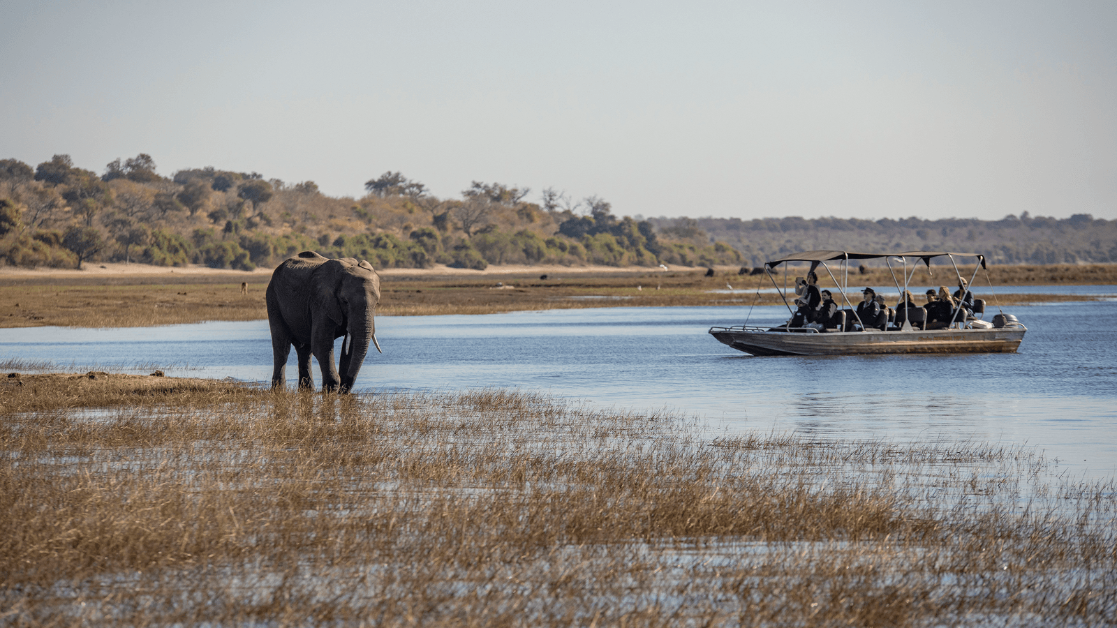 Banner image of Complete Botswana: National Parks & Delta Wildlife