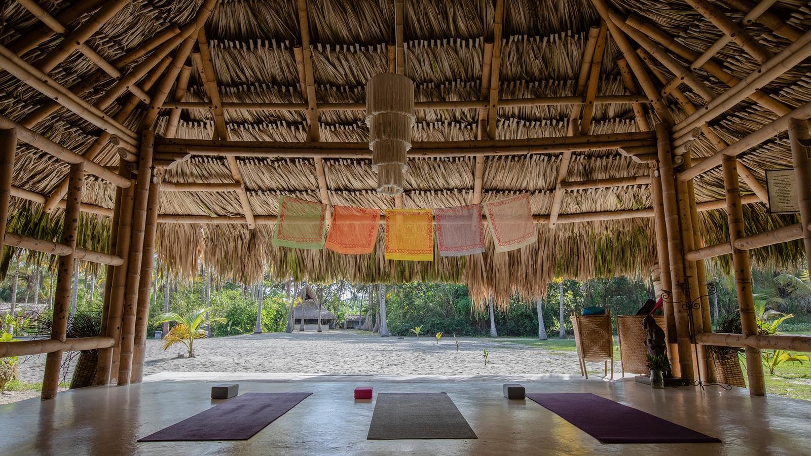 Banner image of Wellness Colombia