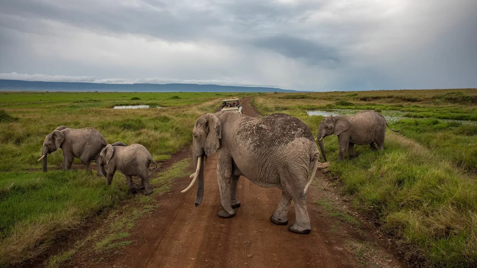 Banner image of Kenya: Cultural Connections, Maasai Mara & East Africa Safari