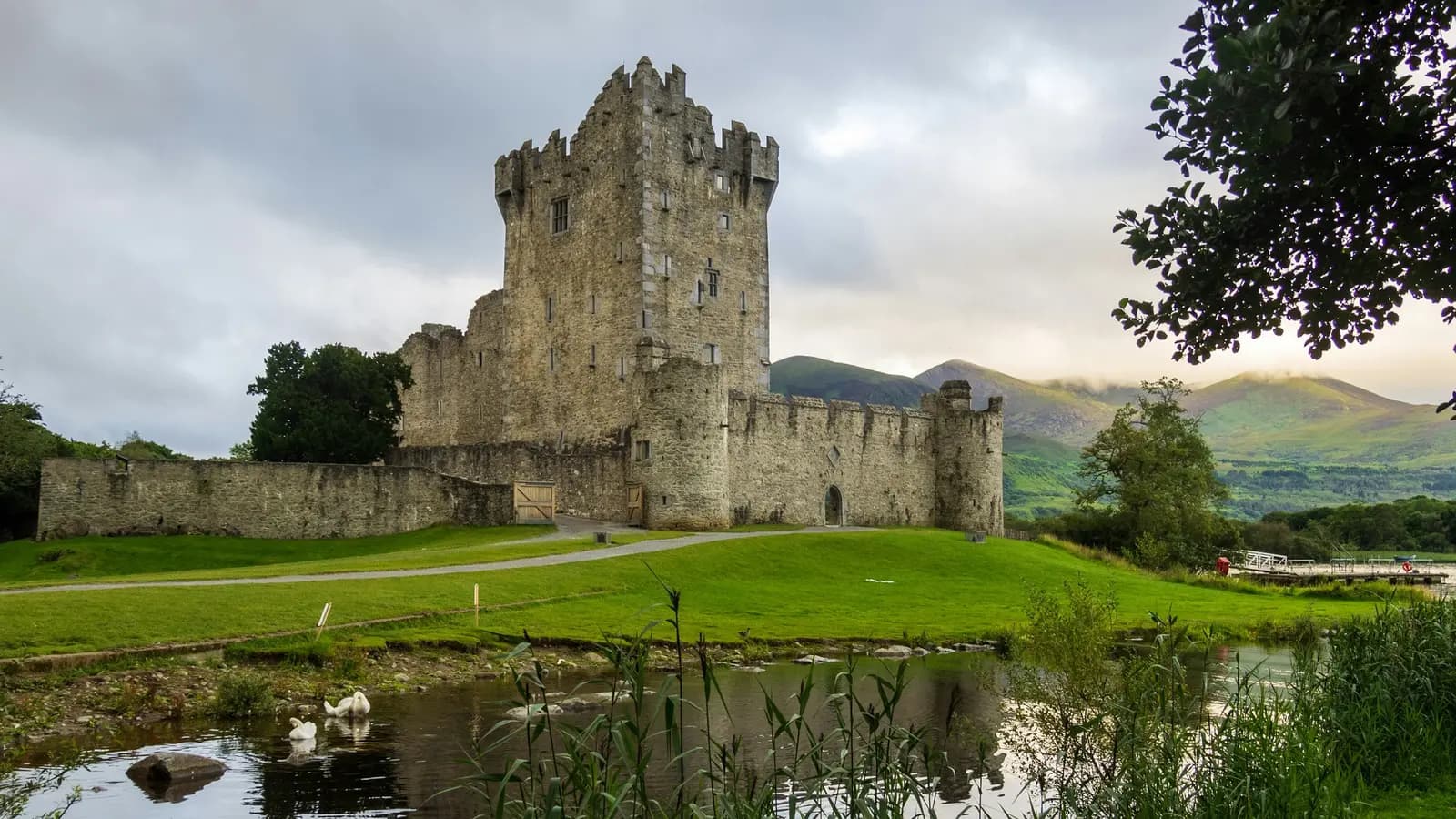 Banner image of Ireland Family Journey: Dublin to the Wild West Coast