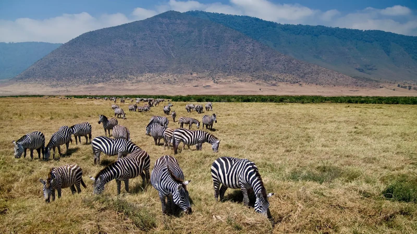 Banner image of Tanzania: The Serengeti, Ngorongoro Crater & Local Flavours