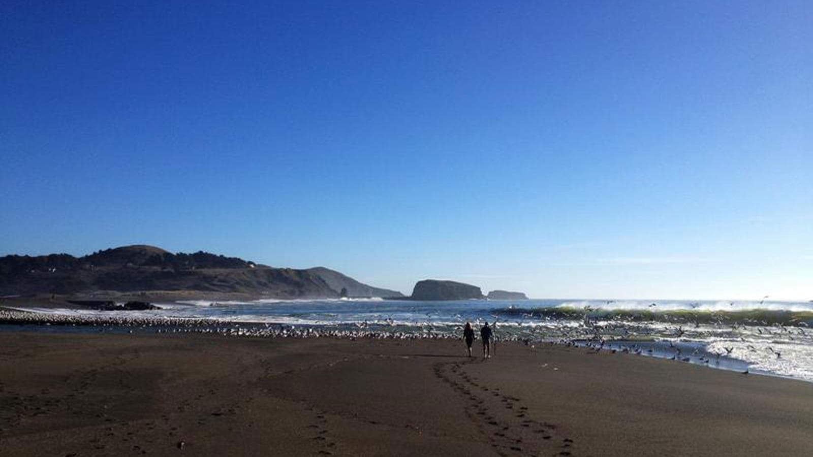 Banner image of USA Road Trip- The Best of Cali