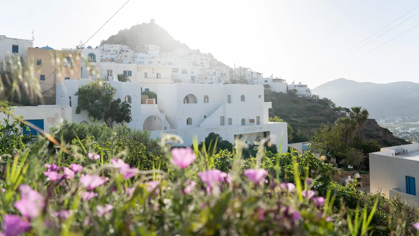 Banner image of Sailing Greece - Santorini to Santorini