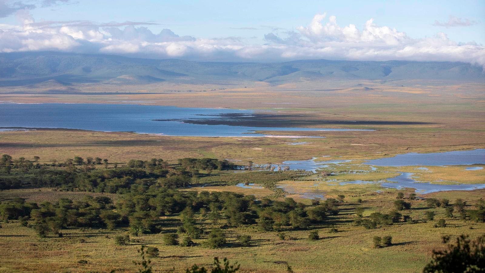 Banner image of Kenya & Tanzania: Maasai Mara, Serengeti & Zanzibar Highlights