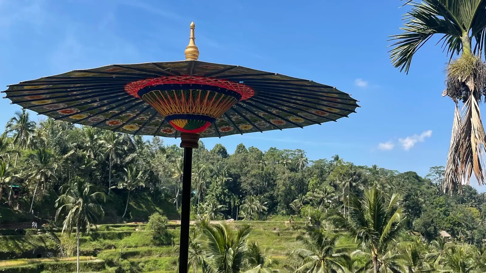 Banner image of Java & Bali: Sunrises, Surf & Serenity