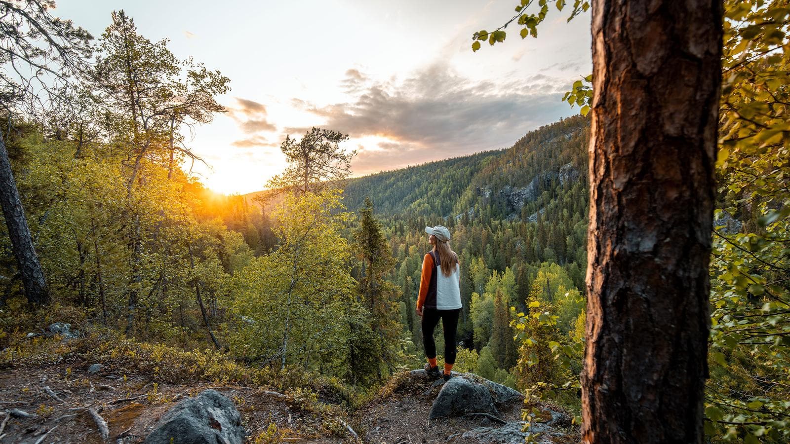 Banner image of Finnish Lapland Discovery
