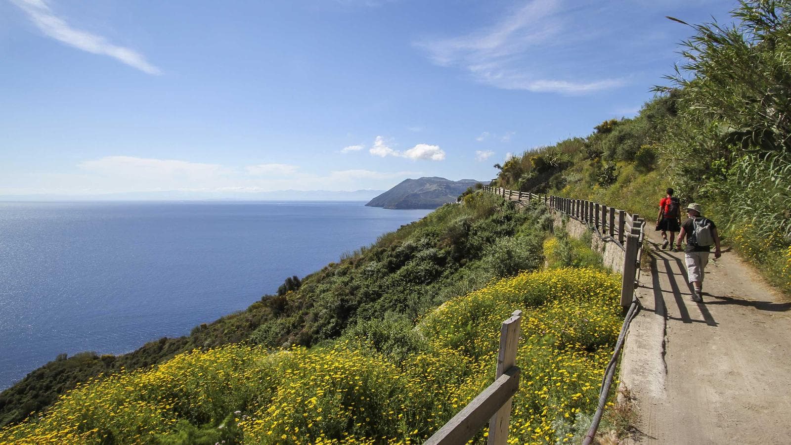 Banner image of Northern Sicily: Islands & Volcanoes