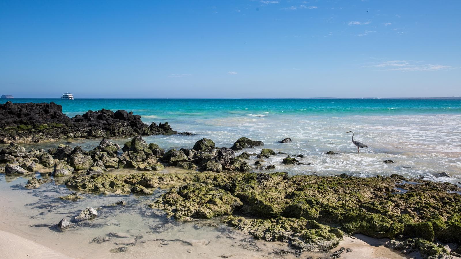 Banner image of Galápagos Island Hopping