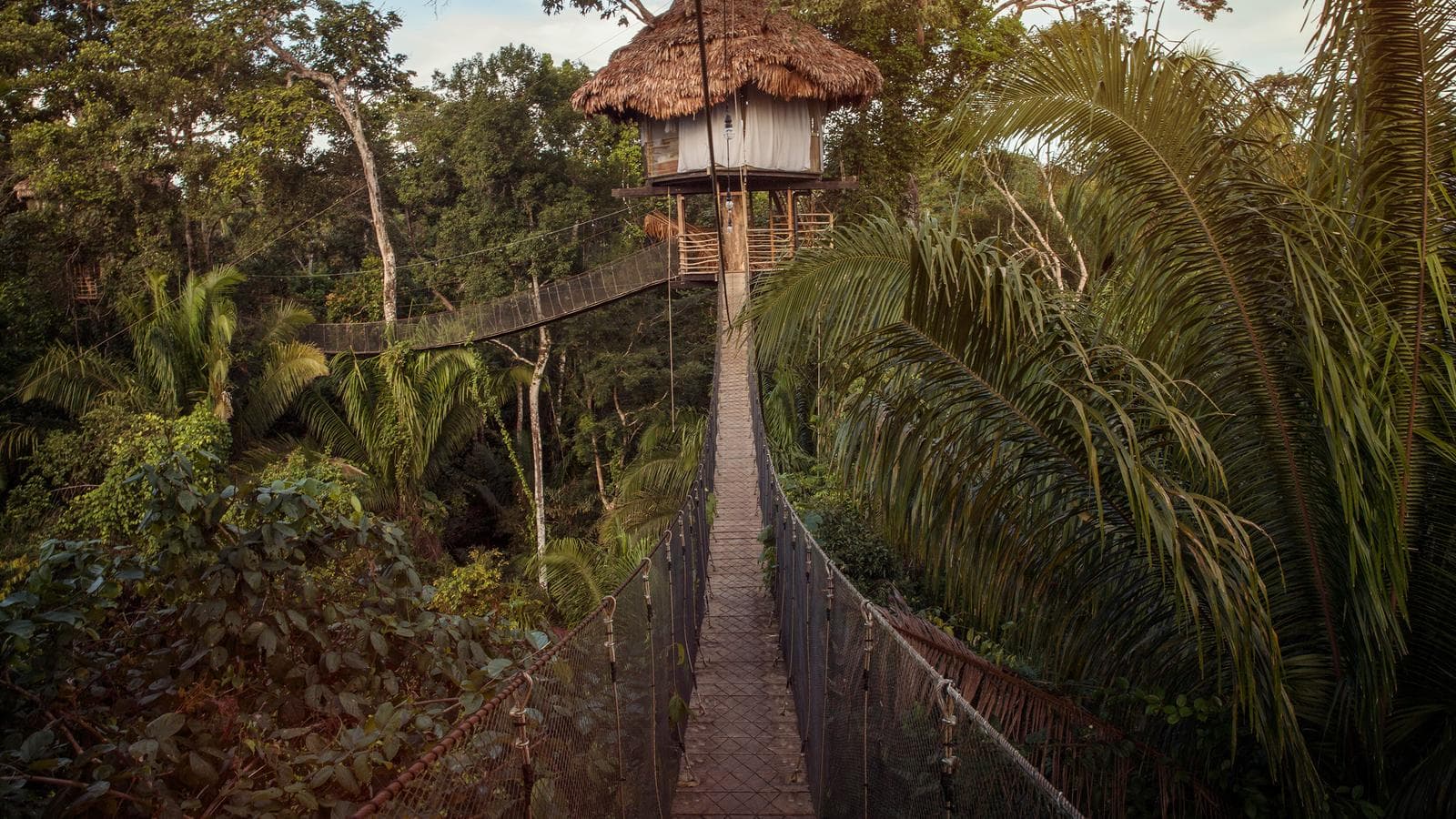 Banner image of Inland & Amazon