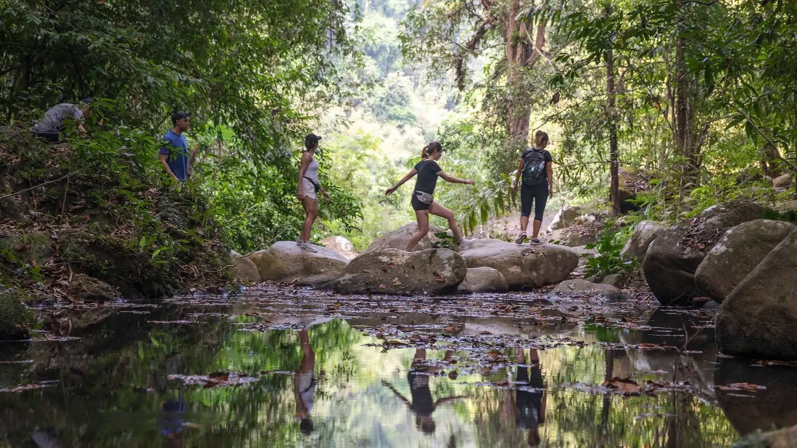 Banner image of Journeys: Thailand in Depth