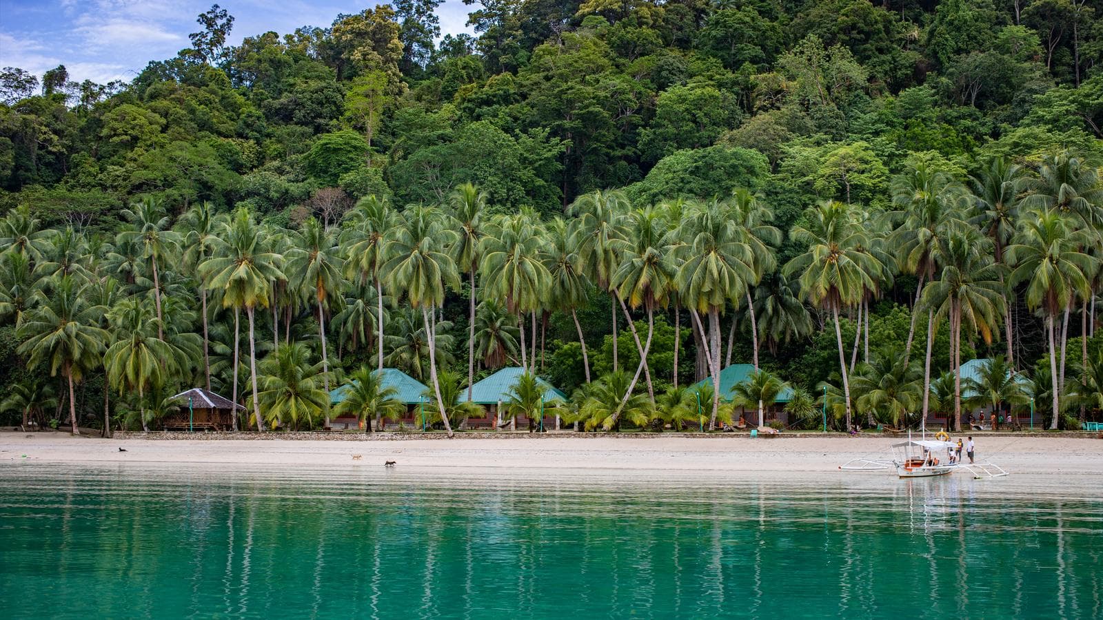 Banner image of Philippines Palawan Adventure