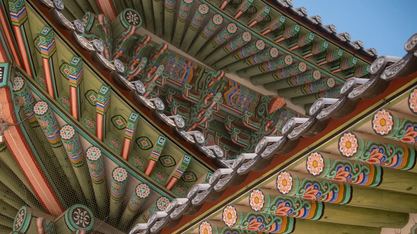 Banner image of Solo-ish South Korea