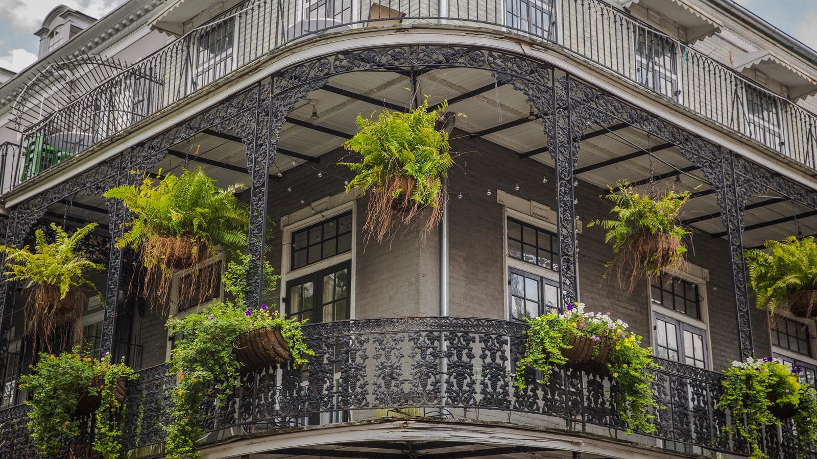 Banner image of Highlights of the Deep South