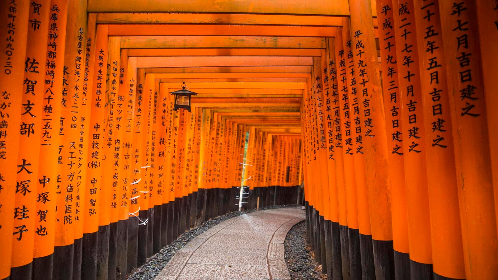 Banner image of Backroads of Japan