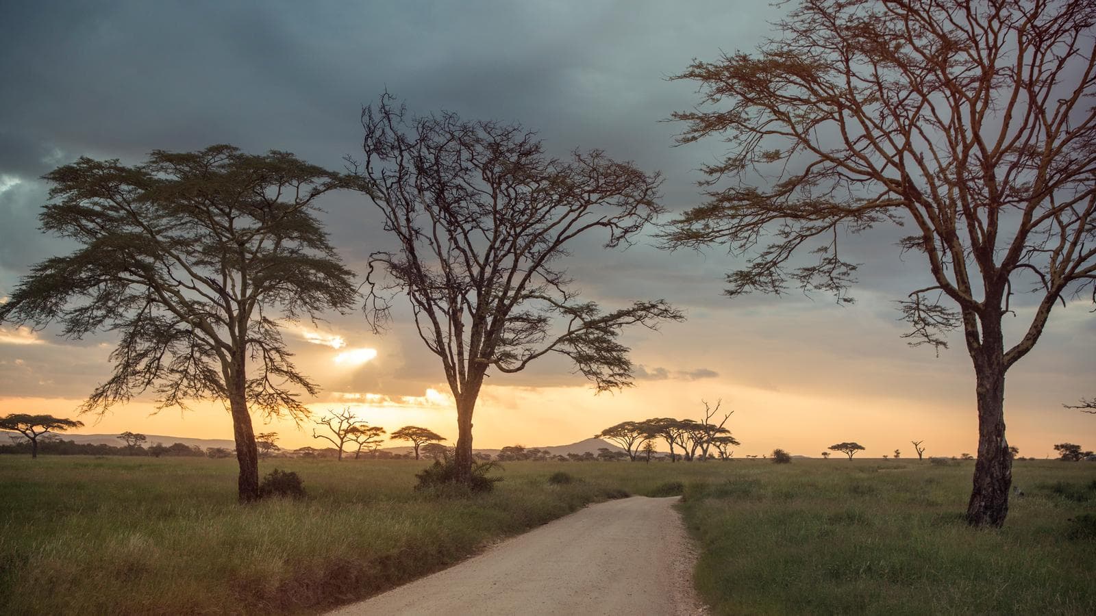 Banner image of East Africa Overland