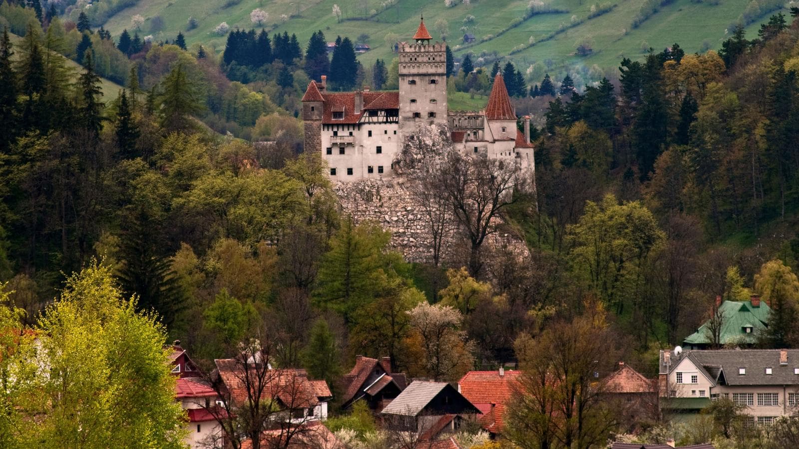Banner image of Halloween in Transylvania