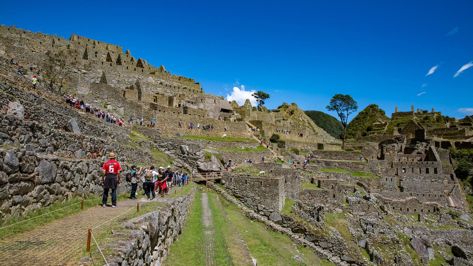Banner image of TailorMade Peru: Machu Picchu Uncovered