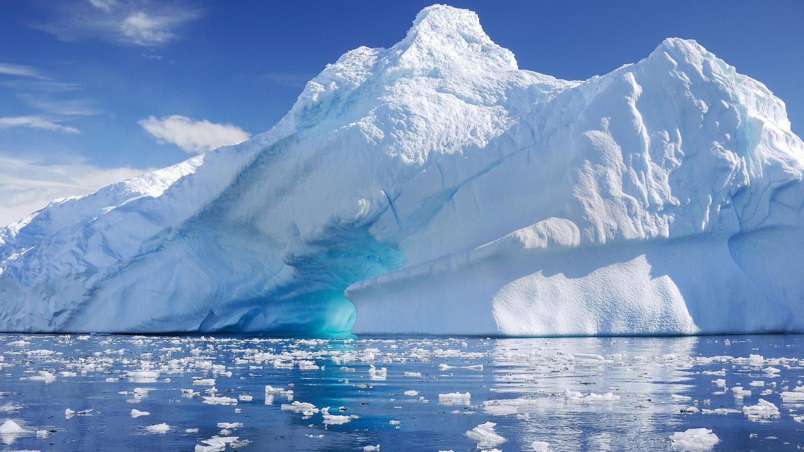 Banner image of Antarctica Classic in Depth