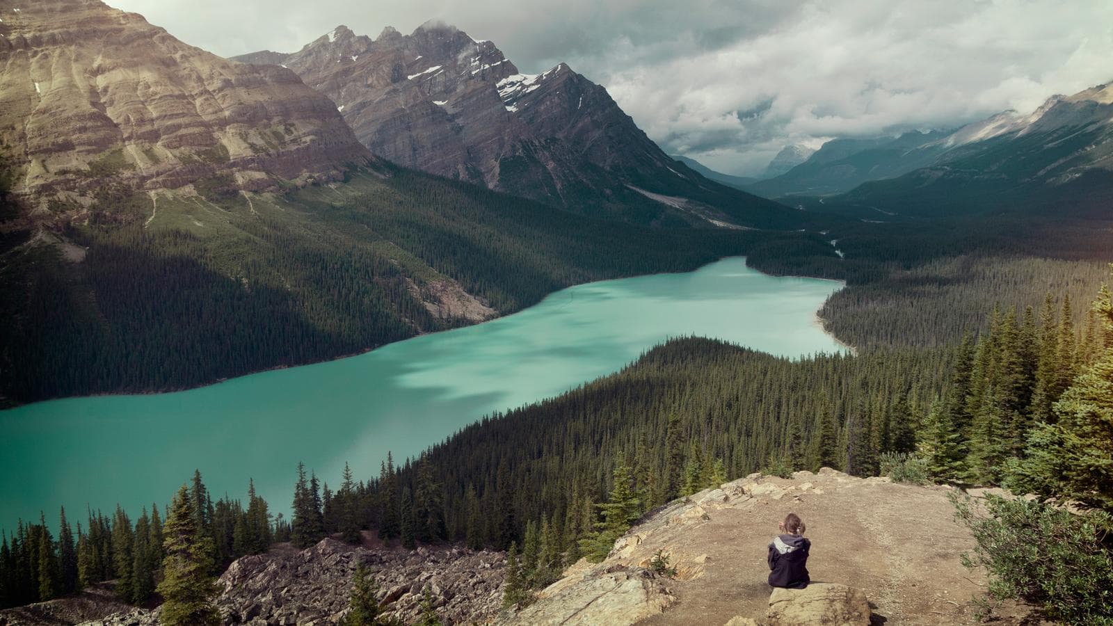 Banner image of Canadian Rockies Trail