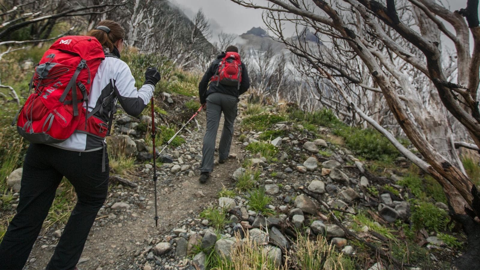 Banner image of Torres del Paine - Full Circuit Trek