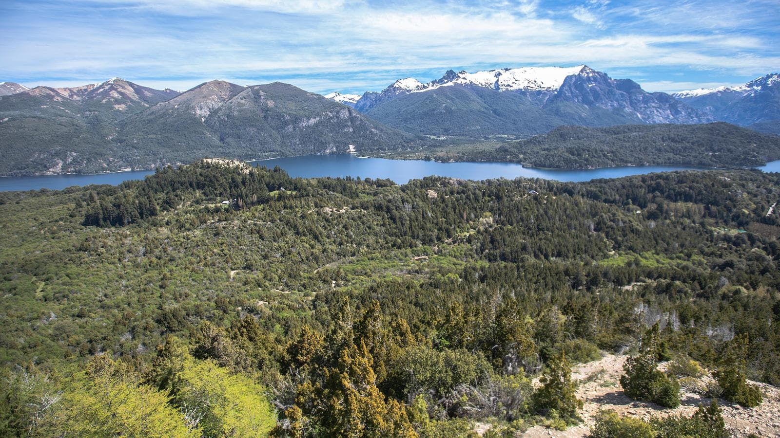 Banner image of Wellness Patagonia