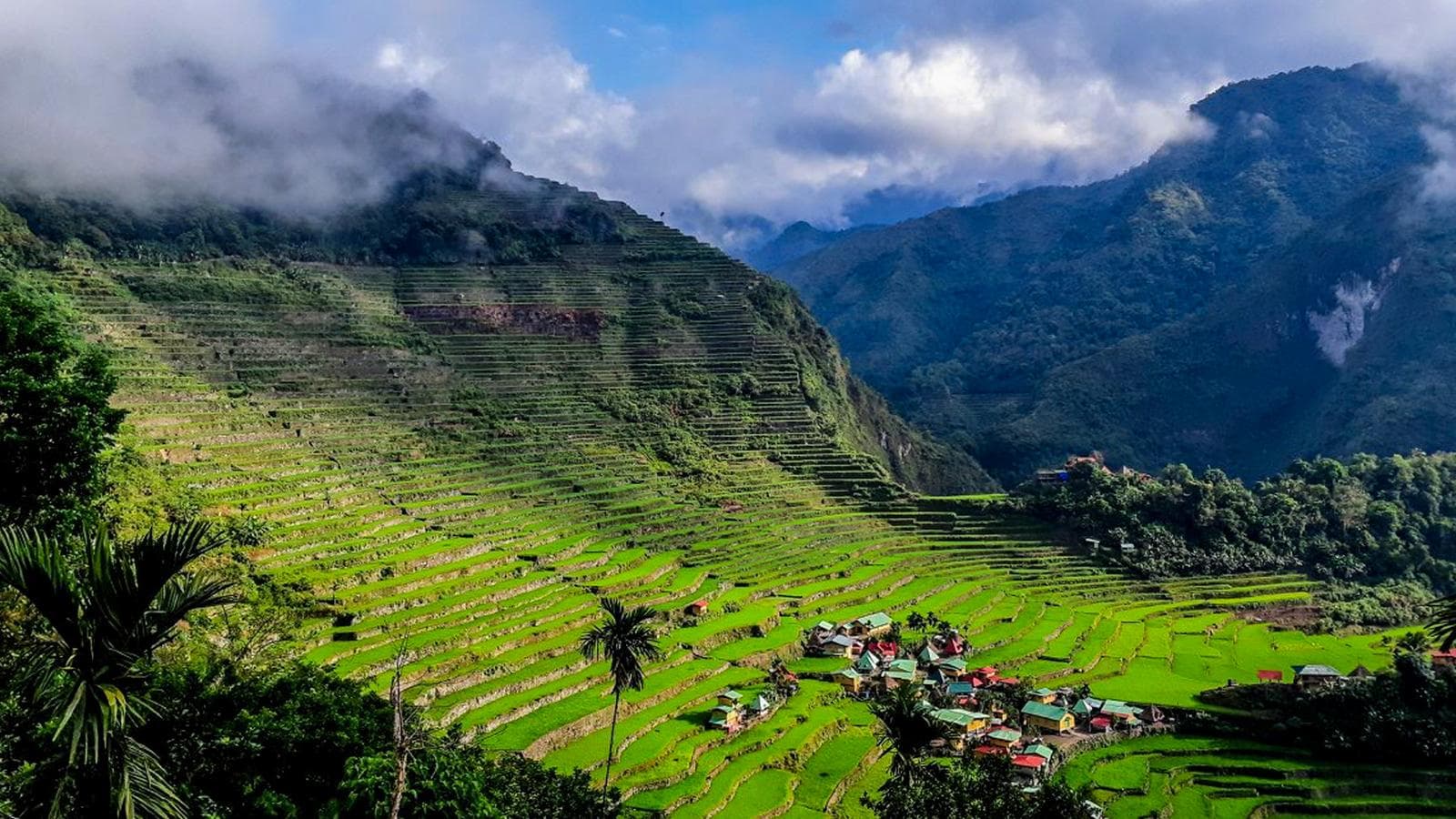 Banner image of Northern Philippines Adventure