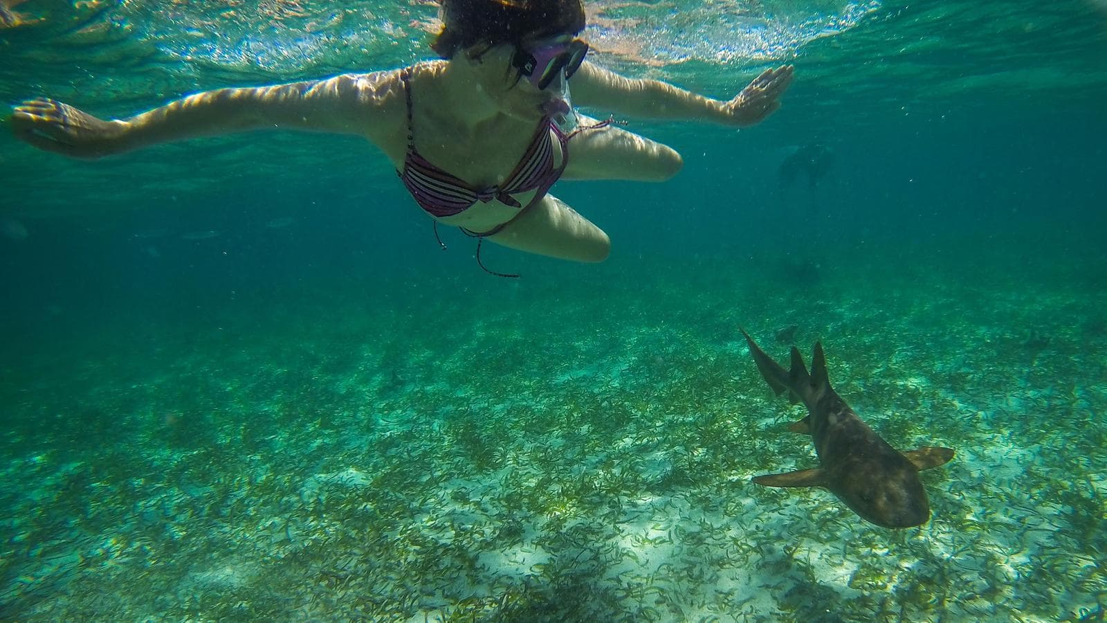 Banner image of Belize & Tikal Adventure