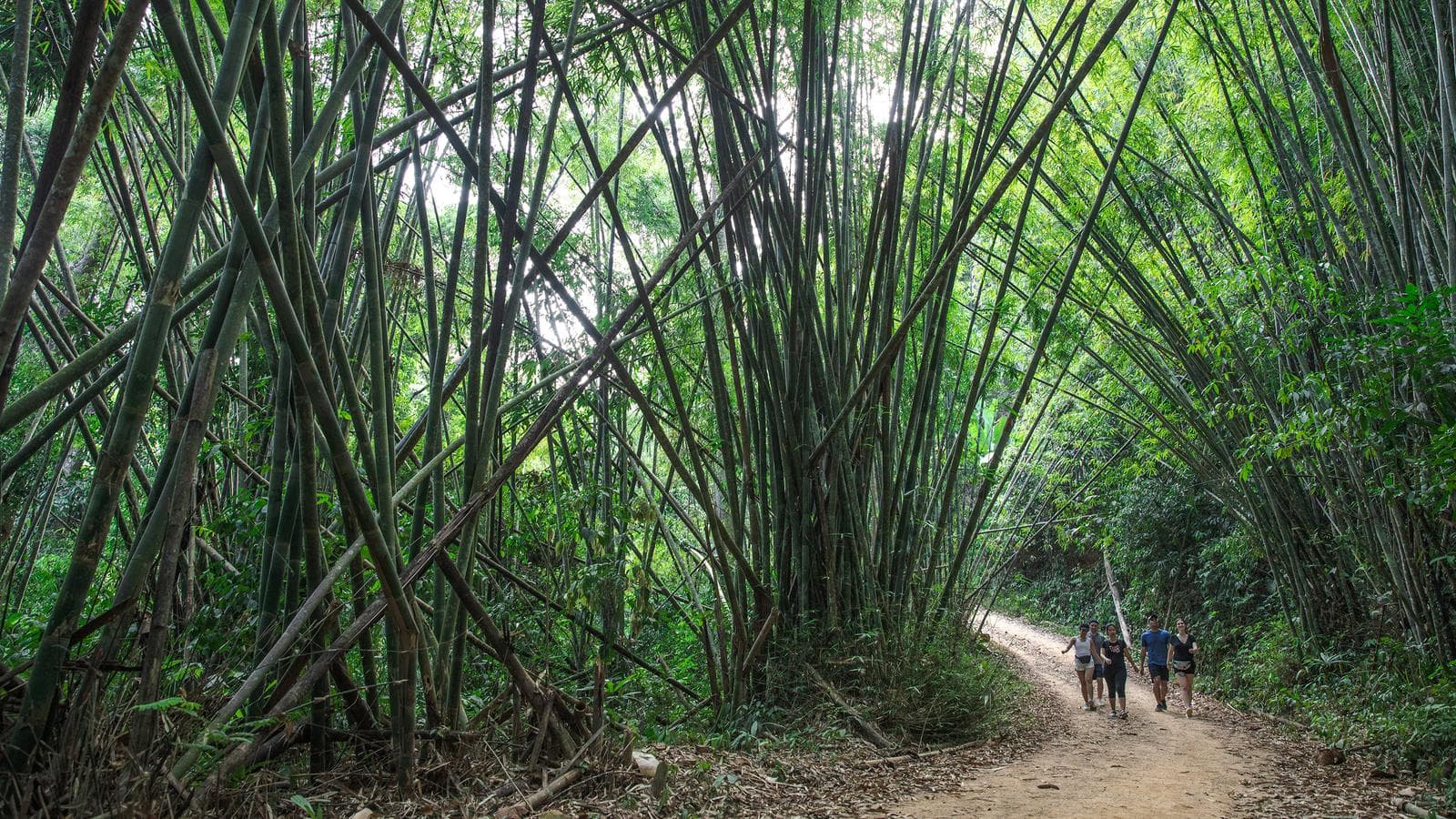 Banner image of Laos to Northern Thailand: Treks & Trails
