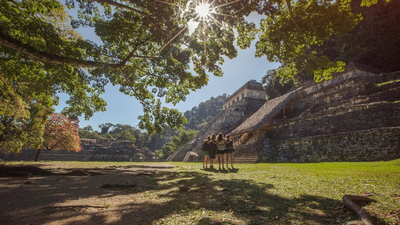 Banner image of Mayan Discovery