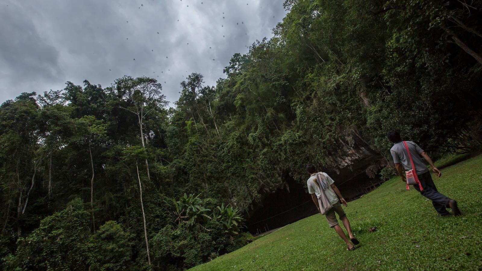 Banner image of Northern Thailand Hilltribes Trek