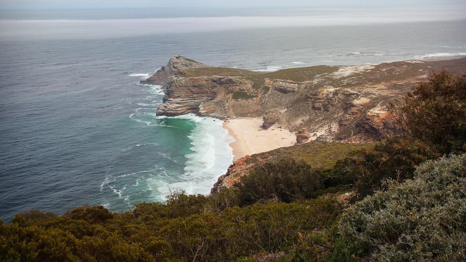 Banner image of Cape & Dunes Discoverer