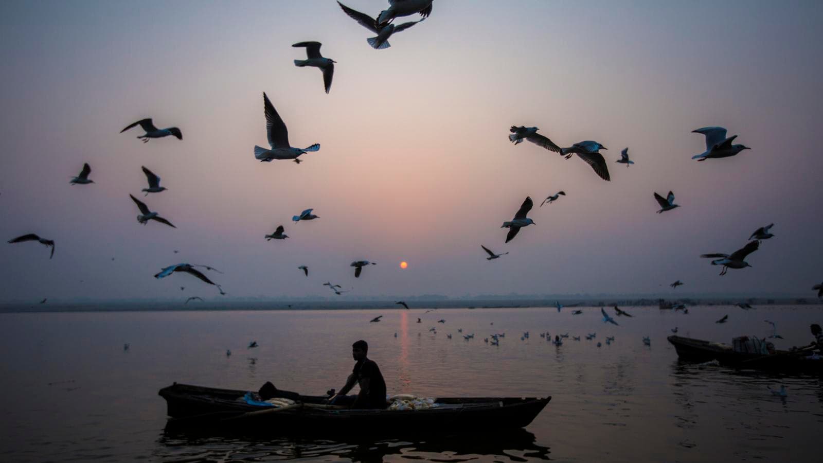 Banner image of India River Cruise: The Holy Ganges