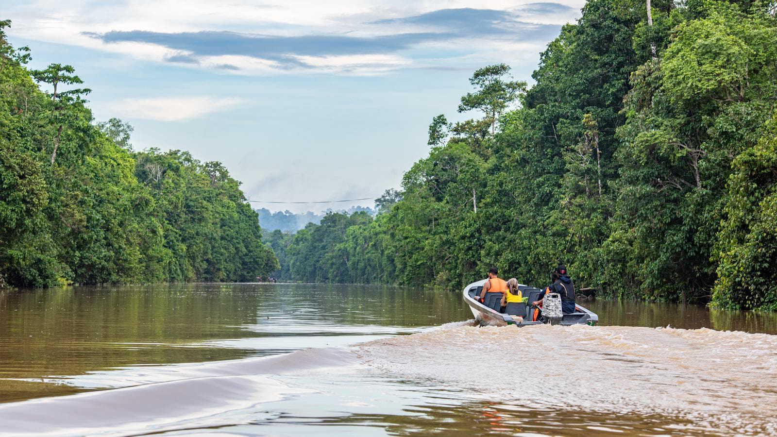 Banner image of Borneo Encompassed