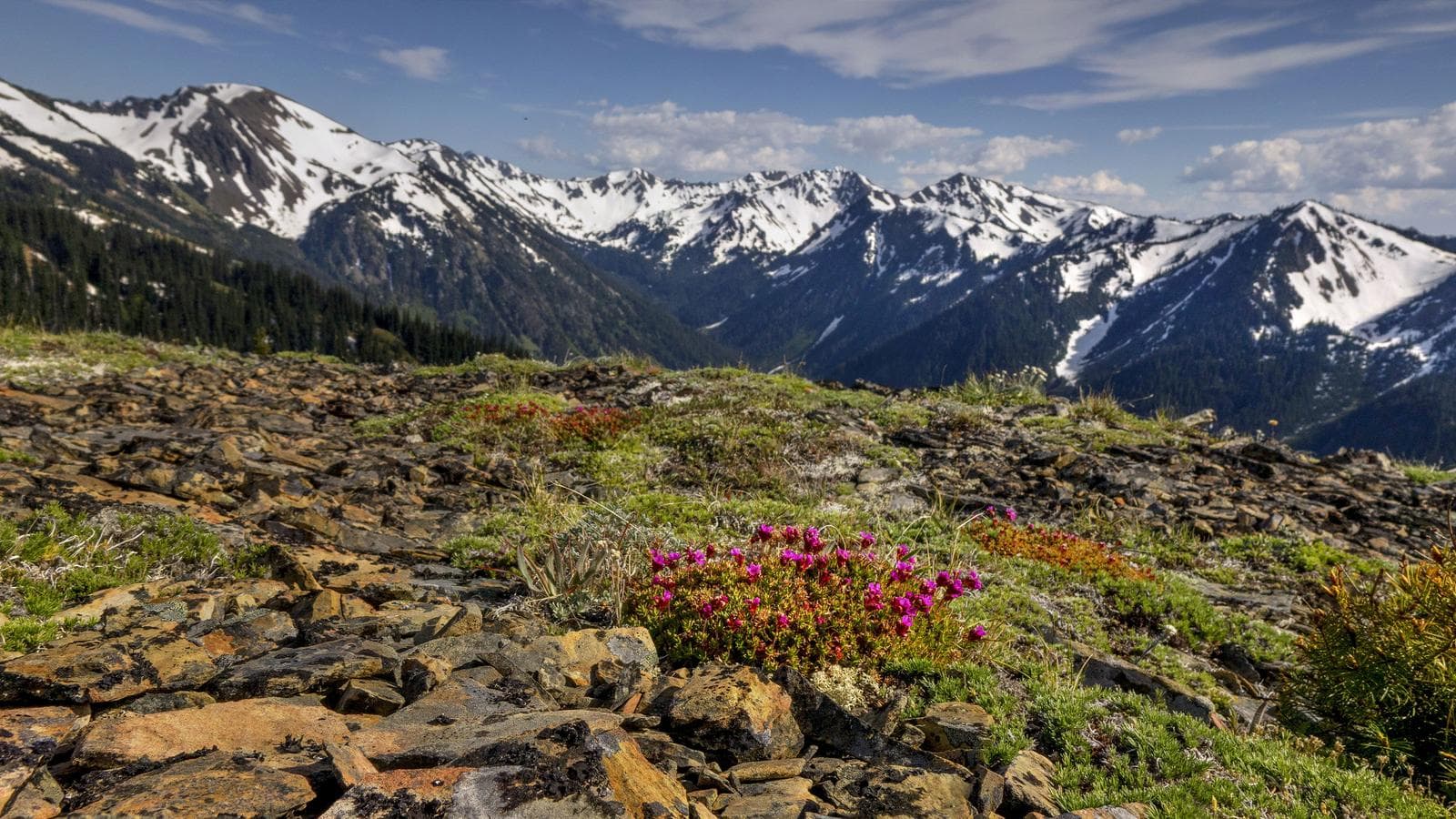 Banner image of Best of Northern Rockies & the Pacific Northwest