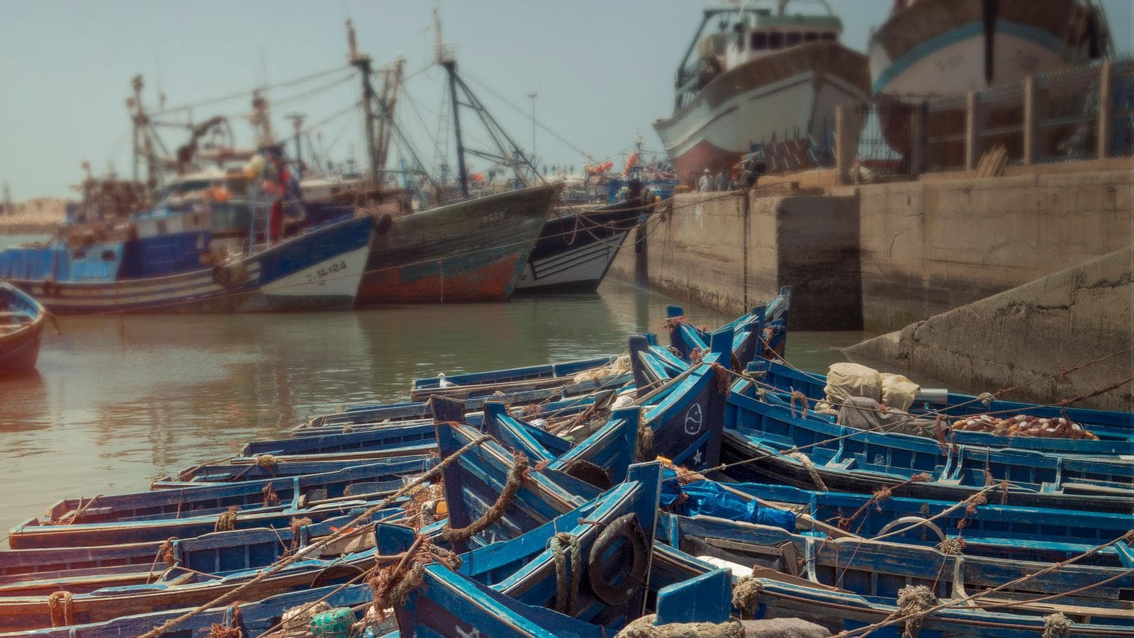 Banner image of Morocco: Marrakech and the Coast