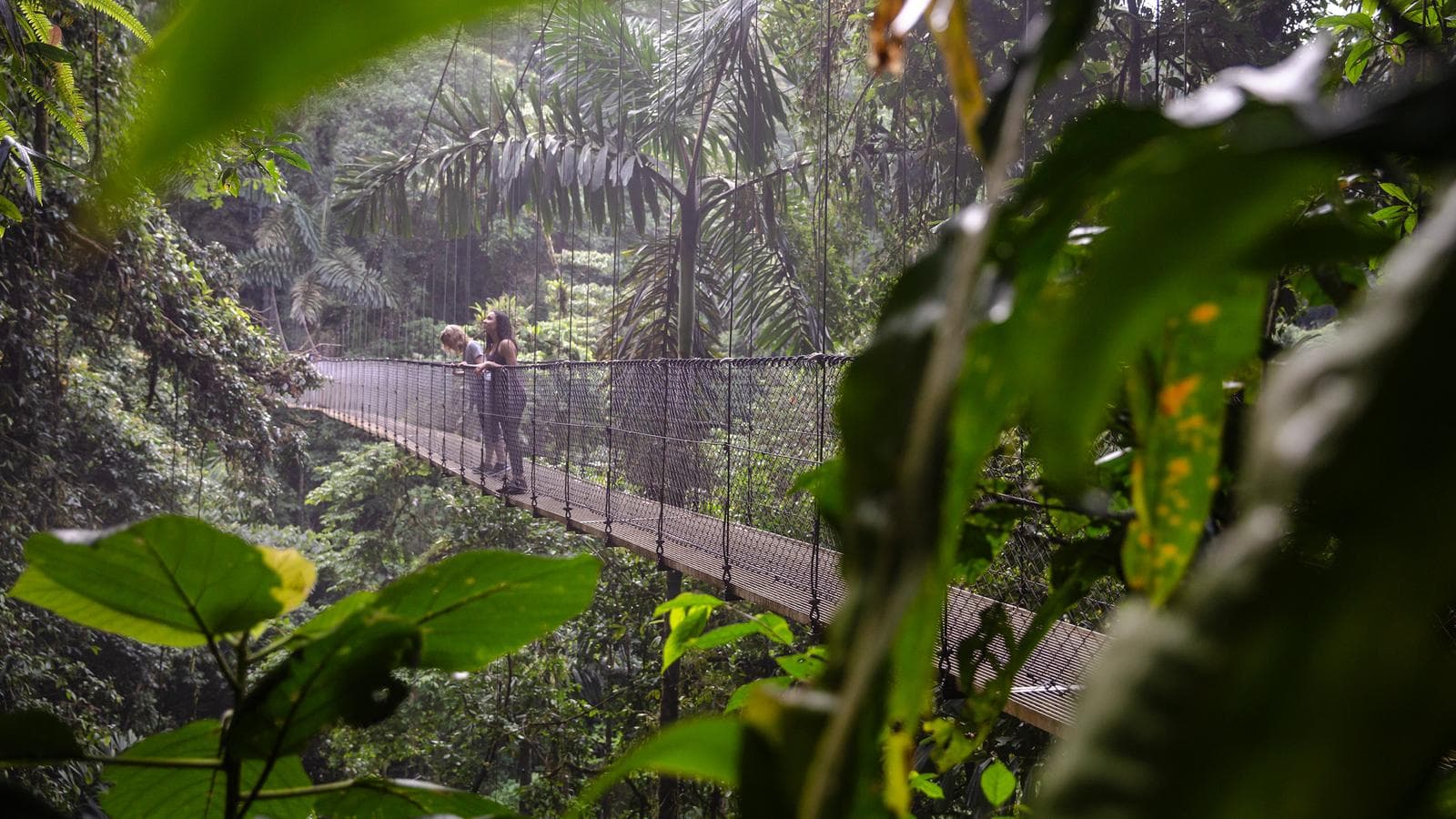 Banner image of The Best of Costa Rica Independent Adventure