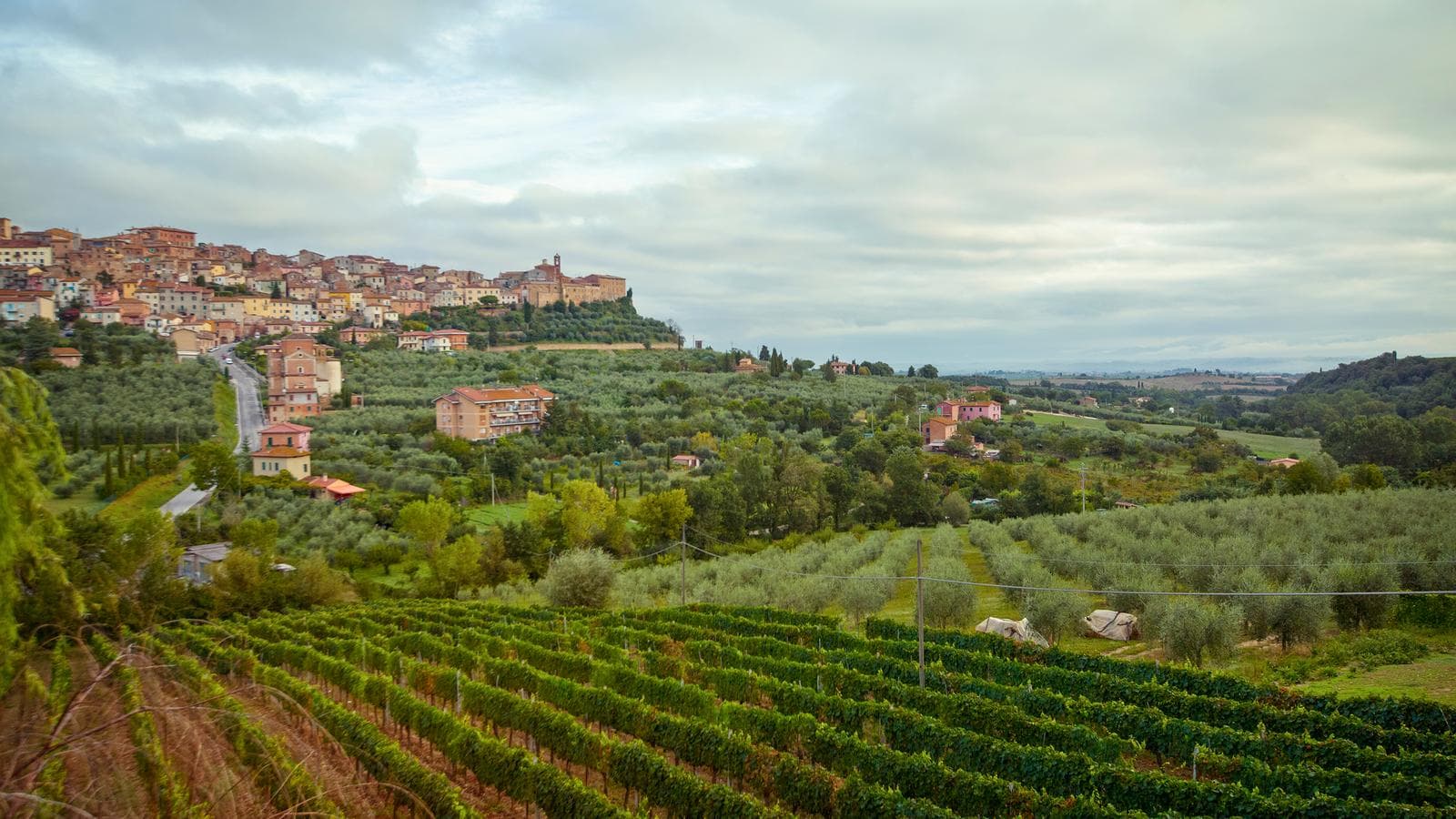 Banner image of Local Living Italy - Coastal Tuscany