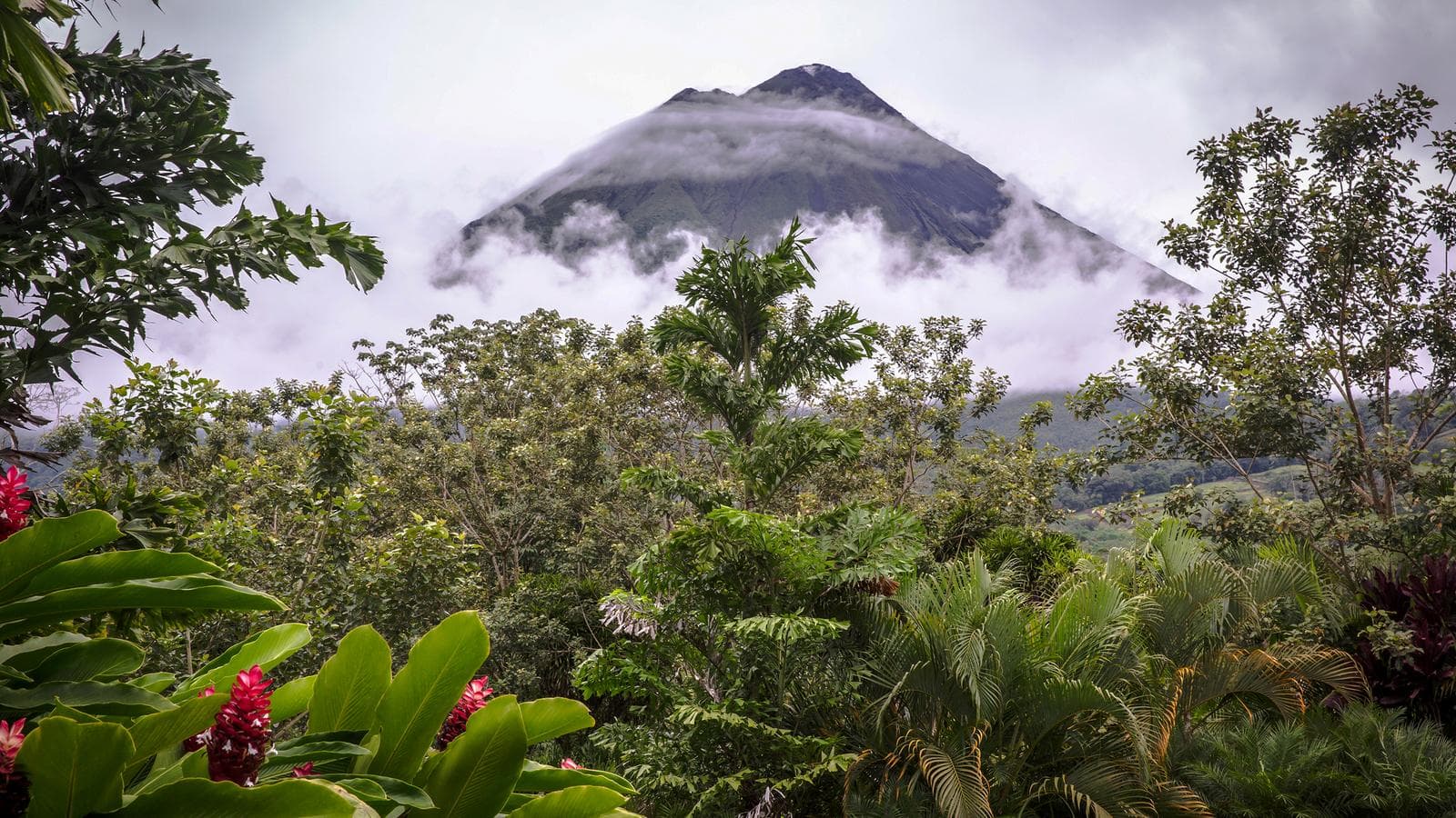 Banner image of Volcano Adventure & Panama Highlights