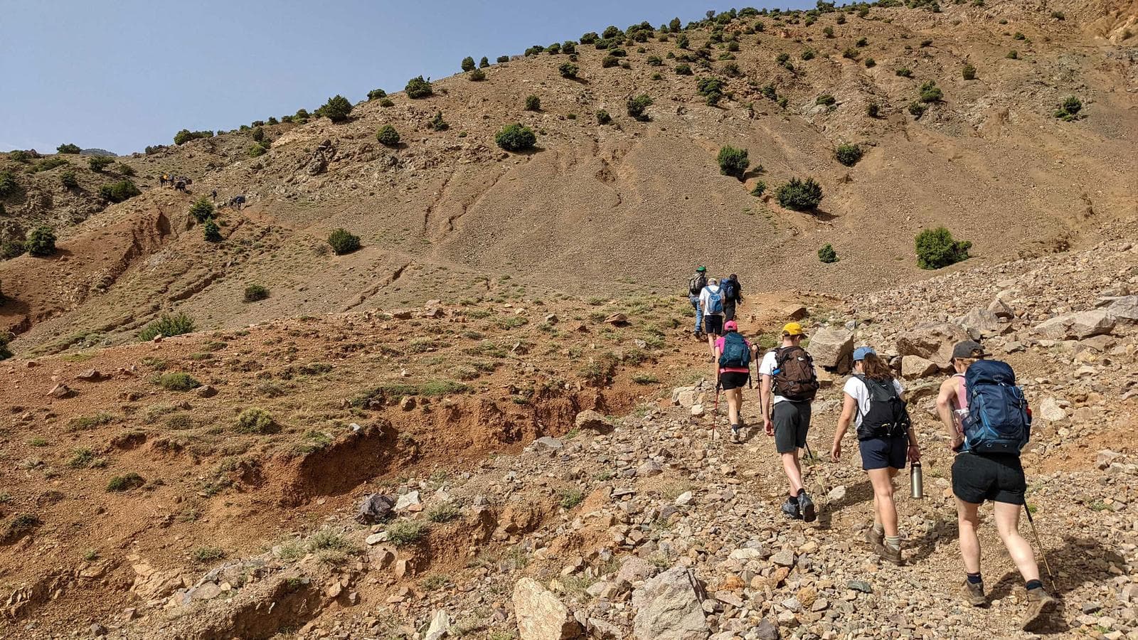 Banner image of Mount Toubkal Weekend Trek