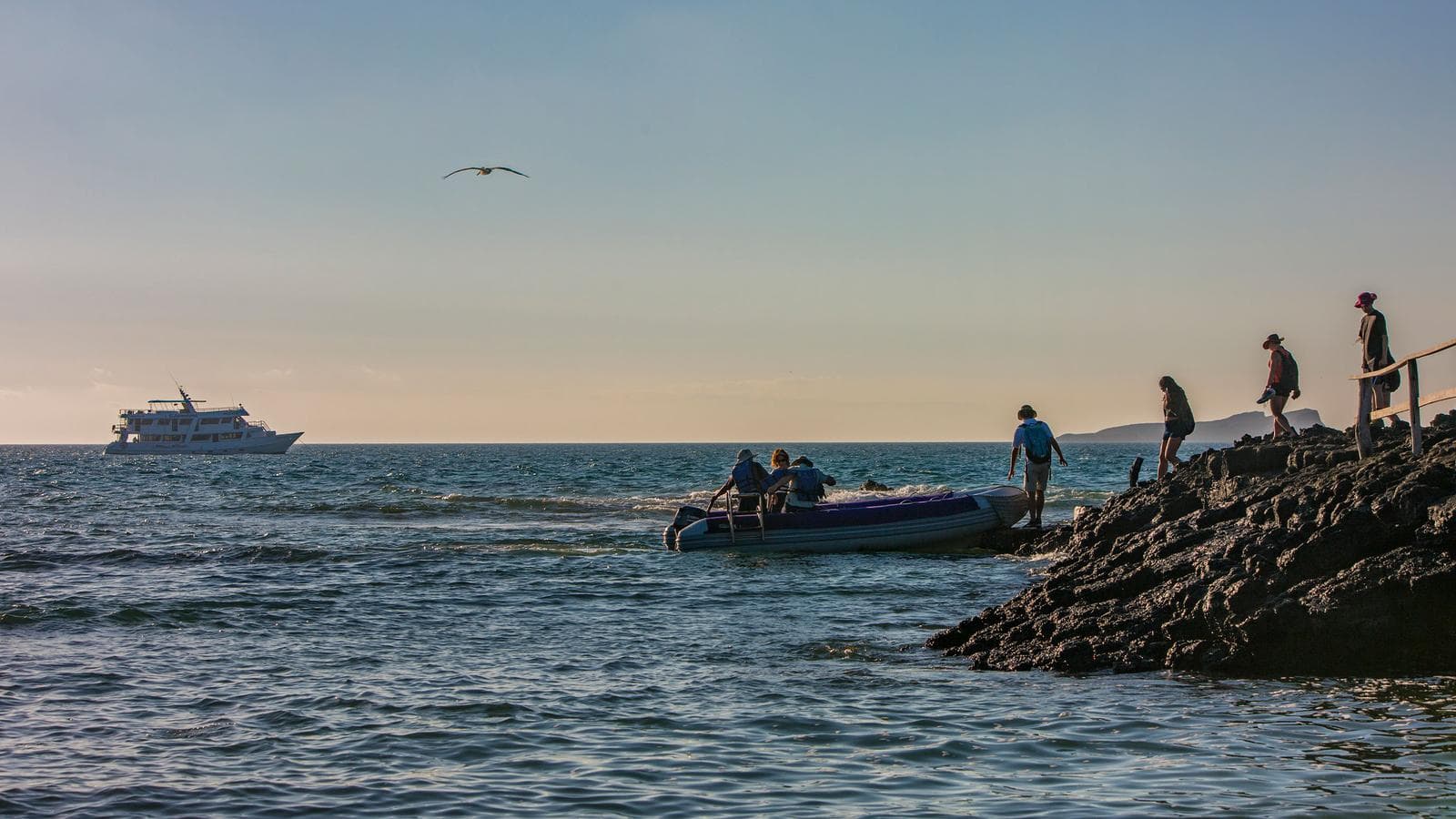 Banner image of Galápagos — South & East Islands aboard the Eden