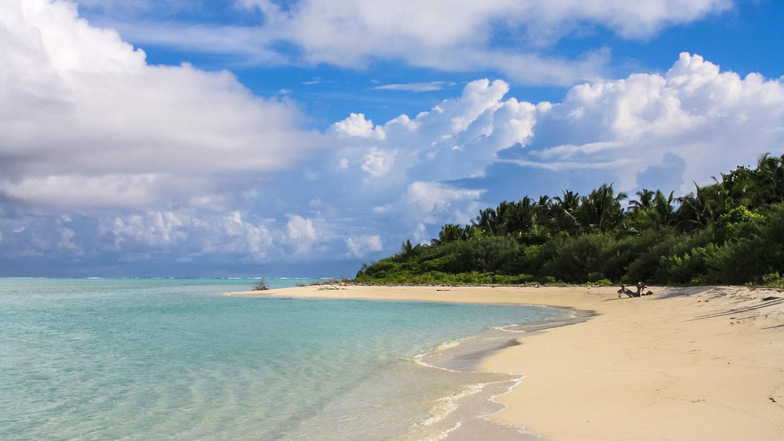 Banner image of Sri Lanka with Maldives Cruise: Spice Gardens & Seasides